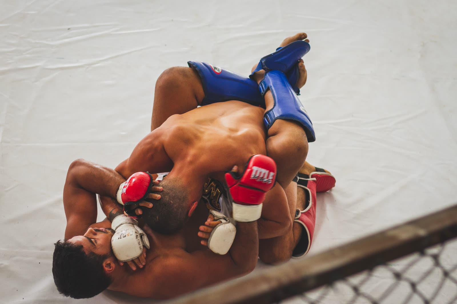 MMA — Adulți